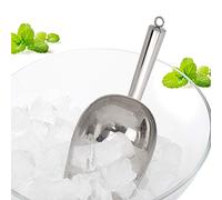 Yosoo Health Gear Cuillère à Glace Multifonctionnelle en Acier Inoxydable, Pelle pour Grains de Café et Fruits Secs