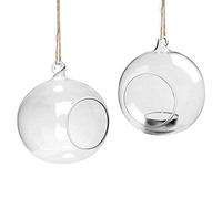 youseexmas Photophore Boule en Verre Transparentes Suspendre Vase Boules Terrarium Pour Plantes Fleurs Diamètre 10cm Lot de 4