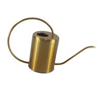 Ysyqkn Arrosoir Pot Plante Arrosoir Métal Inoxydable Rétro Léger Capacité 2.0L Peinture Dorée Adapté Arrosage Plantes Intérieures Bureaux