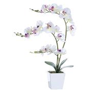 YSZL Orchidée Artificielle dans Un Vase, Grande orchidée Artificielle dans Un Vase en céramique avec tiges, Aspect réaliste, décoration de Table pour décoration d'intérieur (Blanc)