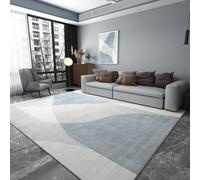 YUANWAN Tapis de Salon Lavable 100 x 130 cm Facile à Nettoyer Texture Douce Doux et Antidérapant Tapis Moelleux Carpette pour Chambre Tapis Rectangle pour Couloir Chambre, 7