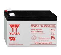 Yuasa Batterie au Plomb pour UPS 12 V 8,5 Ah NPW45-12 (Faston 250 6,3 mm)