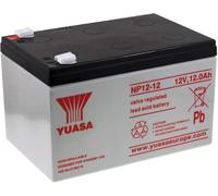 Yuasa Batterie au plomb NP12-12 (AKKU 12-12 F250) 12 V 12 Ah VRLA VdS