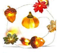 YUYWWAN Guirlande Automne Lumineuse, 3 Mètres 30 LED Lumière avec des Glands Citrouilles Feuilles D'érable D'automne, Décoration Lumineuses LED pour Automne Fêtes, Halloween, Thanksgiving