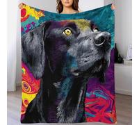 YVASPQRTW Légère Illustration Scène Galaxie Nébuleuse Espace Couverture en Flanelle, Vision de Labrador Fidèle Plaid Doux Idée Cadeau Voyage Camping, 50x60inch(127x152cm)