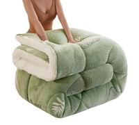 YWBXSHKD Édredon Chaude en Hiver 110x150cm 1kg, Couette éPaisse Hiver Agneau Cachemire Couverture Polaire Double Face Couette Douce Et Chaude Literie MatelasséE 2 Personnes