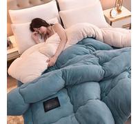 YWQJL Couverture Epaisse Lit 2 Personnes Couette Tres Chaude Couettes pour Lit sans Housse Confort Et Gonflante Couette Laine 150x200 Couverture Polaire Double Face(#4,200x230cm/4kg)