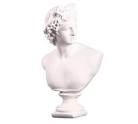 YXCQHZM Statue de buste de David - Sculpture pratique - Dessin artisanal pour artiste de plâtre - 31 x 19 x 14 cm