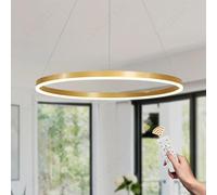 YYUTLUO Lustre LED Moderne DIY Cercle | 1 Or Anneaux :60cm=29W | Éclairage Suspendu LED Métal+Acrylique Télécommande Intensité Variable 2,12G Lampe Suspendue Plafond Ronde Salon Chambre Coucher