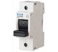 Z-SLS/CB/1 DISJONCTEUR FUSIBLE D02 63A 1P 400V 248247
