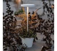 zafferano Poldina Reverso Lampe de table sans fil LED, LD0420B3,