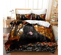 ZAHOCAI Housse De Couette 220x240 Terre-Neuve Brune +2 Taies d'oreiller 65x65 Cm Doux Respirant Parures De Lit Lisse Luxe Housses De Couettes Somptueux Moderne Housse De Couette 2 Personnes
