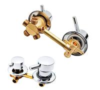 ZAKSEM Mitigeur Cabine De Douche,2/3/4/5 Voies Sortie D'eau Filetage/intubation,Entraxe 10Cm/12,5Cm Mitigeur Laiton Salle De Bain Poli Douche Robinet Cabine (Screw 5 way 10cm)