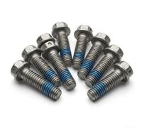 ZAMETTER Lot de 10 vis de fixation en métal pour tondeuse à gazon P6-21.5 - Pièce de montage 9074 478 4475 - Accessoire de rechange pour outils de jardin - Fixation sécurisée Compo