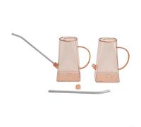 ZAMETTER Lot de 2 arrosoirs avec long bec pour plantes d'intérieur et d'extérieur 1,4 l en acier transparent et plastique - Couleurs : gris, vert, rose (rose)