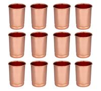 Zap Impex Lot de 12 verres en cuivre pur