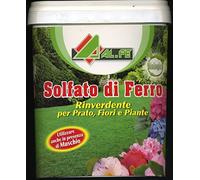 Zapi Fer Sulfate Vert Correctives et Anti pour Plantes Fleurs 5 kg Poudre 1 Sac 5E+3 gramme