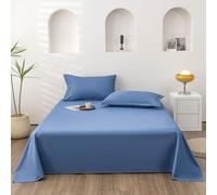ZCXRYFL Drap Plat pour Sieste Dodo Linge De Lit pour Maison- Couverture Fine DéCorative pour Matelas 1~2 Personnes, Draps-Lit Doux Et LéGer, Tissu en Coton Lavé Doux pour La Peau(120x230cm,Blue)