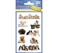 ZDesign KIDS Sticker 'chatons', coloré