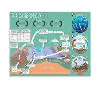 ZDVHOMCB Biogeochemical Carbon Cycle Poster Science Aid | CO2 methane flow chart for earth science class stem club and student desk(Unframed,08X12inch(20X30cm))
