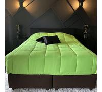 Zelesta Easybed Couette 4 Saisons - Couette sans Housse - Literie pour l'hiver et l'été Chaude Duvet - Couette Lavable sans Housse (Anis & Beige, 160x220cm)