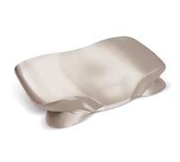 Zelimun Taie d'oreiller en satin pour cheveux et peau, taie d'oreiller contour pour oreiller cervical 60 x 40 cm, lisse et douce pour dormir, housse de coussin avec fermeture éclair (champagne)