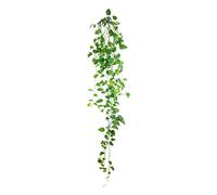 Zen et Ethnique Stickers Muraux - Branches de Lierre