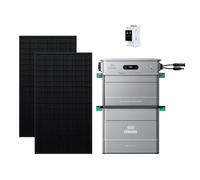 Zendure SolarFlow 800 Pro 2 + Compteur 3CT + 2x 450W Panneau Bifacial - Kit Solaire Balcon 800W - AC 1000W - Gestion IA