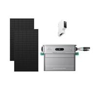 Zendure SolarFlow 800 Pro 2 + Smart Meter 3CT-S + 2x 450W Panneau Bifacial - Kit Solaire Balcon 800W - AC 1000W - Gestion IA