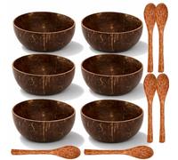 ZENFUN Lot de 6 bols en noix de coco avec cuillère en palme, 12.7 cm de profondeurx6.1 cm de hauteur, bols en coquille de noix de coco naturelle pour salade, rangement de cuisine, léger