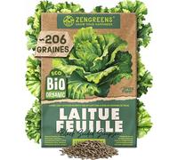 ZenGreens® - Graines de Laitue Feuille bio (Black Seeded Simpson) - Graines potagères pour une culture facile au jardin, sur le balcon ou en carré potager - Laitue à Couper