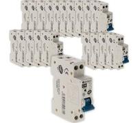 Lot de 20 disjoncteurs 16A PH/N - NF - Zenitech
