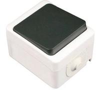 Zenitech - Mini bouton poussoir 10A IP54 - noir Noir G