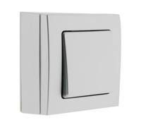Zenitech Va et Vient 10A saillie borne Auto - Gris - Bel'Vue