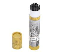 ZenithAur Dessin Fusain Crayons Artiste Fusain Bâtons Vigne Croquis Art Esquisse Outils Débutant Artiste Dessin Ensemble, Kit Essentiel (Marley 7330 Charcoal Strips)