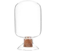 Zerodeko Bocal en Verre Multifonctionnel de 125ml, Récipient Transparent Créatif et Délicat pour Rangement Facile des Allumettes à Usage Domestique