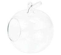 Zerodeko Bouteille en Verre Transparent Forme de Pomme 4.72X3.94X3.94In Vase Hydroponique pour Décoration de Table et Jardin Intérieur