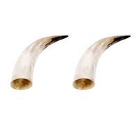 Zerodeko Lot de 2 cornes de vache dans un vase Viking Corne de voiture Corne à boire Générale Lee Corne Viking Vase Corne de vache Jardinières Camion Corne de Train Kit pour Camion Air Plant Vase