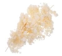 Zerodeko Pétales de Fleurs D'hortensia Séchés de Fleurs Séchées Élégantes Beige Set Polyvalent pour Décoration de Mariage et Centre de Table pour Fêtes et Événements