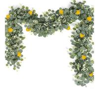 Zeroupshop Testeur de pH numérique 3 en 1 pour le jardin, les plantes d'intérieur, pas besoin de piles (citron)