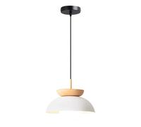 ZGDHWCR Suspension encastrée à une tête, style industriel moderne, lustre en métal blanc de 30 cm (11,8 pouces), luminaire décoratif pour salon, restaurant ou balcon.