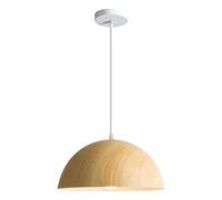 ZGDHWCR Suspension semi-circulaire en métal à une tête, style industriel nordique, plafonnier encastré, luminaire décoratif pour salon, bar ou balcon