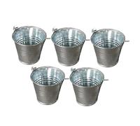 ZGUZMCMK Lot de 5 Petits Seaux en Métal, Mini Pots de Fleurs Artisanaux, Contenants de Rangement Portables en Fer pour La Maison et Le Jardin, Décoration Intér, Argent