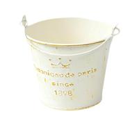 ZGUZMCMK Pot de Fleurs en Métal, Jardinière, Seau en Fer Au Design Rustique pour Balcon, Jardin, Terrasse, Bureau, Cadeau, Décoration, Modèle de Couronne