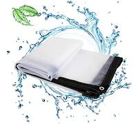 ZHCHL Bâche Impermeable Exterieur Transparente 2mX2m, Bache Impermeable avec Oeillet, Bâche D'auvent Imperméable en Plastique Épaissie, Bâche Extérieur Anti UV
