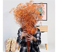 zhibang Un Bouquet de Fleurs de Lavande séchées 100 Bouquets de Lavande Naturelle décoration de Bouquet de gypsophile adaptée à la décoration de la Maison Lavande de Mariage (Orange)