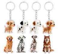 ZhouWei 4 Pièces Porte clés en Fourrure pour Animaux de Compagnie, Capsule de Rangement des Poils de Chien Porte clés Souvenirs en Fourrure de Chien pour Amoureux des Animaux Cadeau