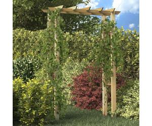 Ziaphsol Arche pour rosiers en Bois imprégné 150 x 60 x 204 cm Support pour Plantes grimpantes, pergola Jardin, Structure décorative pour terrasse et allée