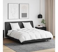 Ziaphsol Ensemble de literie d'hiver en Plume de Canard Blanc avec oreillers 3 pièces pour Chambre Moderne, Confort Chaud et Design Minimaliste pour Nuits cocooning