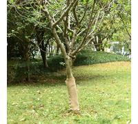 Ziaphsol Rouleau de jute 0,5 x 5 m en 100 % jute 200 g/m² pour décoration de mariage, bricolage, couronne et décoration de table de style maison de campagne